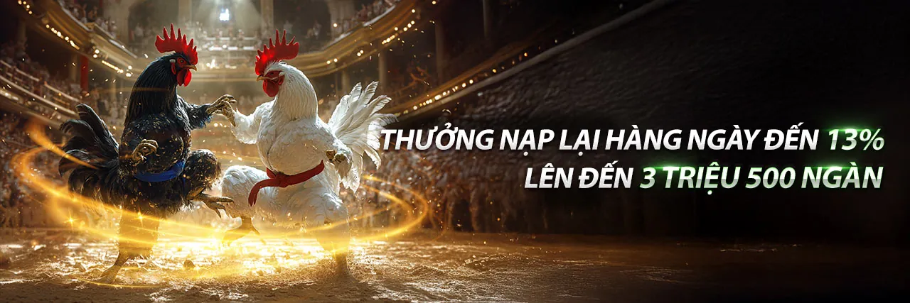 Hình ảnh sang trọng của Câu lạc bộ VIP l33 trang chủ chính thức