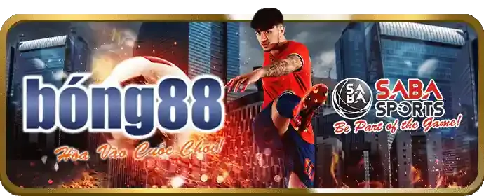 Bước 3: Đăng nhập và bắt đầu