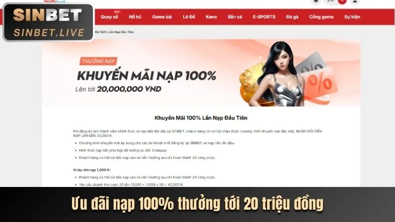 Hình ảnh minh họa các chính sách quan trọng của l33